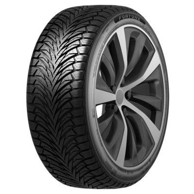 Шина Fortune Fitclime FSR-401 195/65 R15 95V